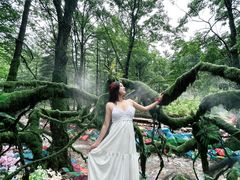 -洛阳白云山景区