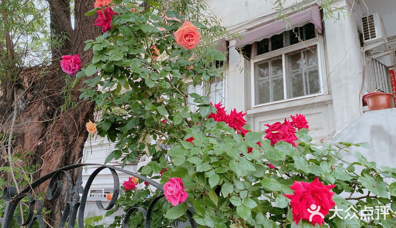 花都开好了，就等你来