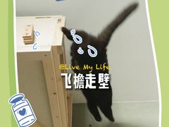 -瑞虹新天地月亮湾