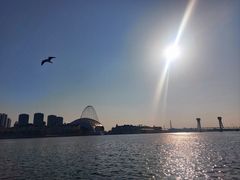 -海河外滩公园