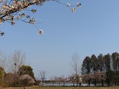 -澹台湖公园