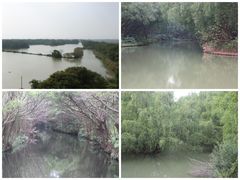 -大湾区中央湿地公园