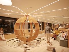 大堂-CAT’S MEWSTAR CAFE·喵星球猫屋(晴湾咖啡店)