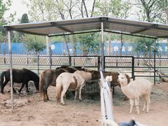 -秦皇岛野生动物园