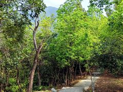 -梧桐山风景名胜区