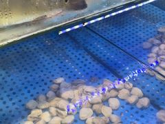 -前王院•巧克力海鲜市集餐厅(万平口店)