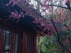 -堤角公园