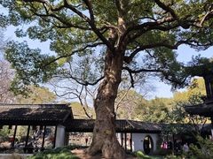 -惠山古镇·寄畅园