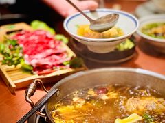 -菌子鲜汤野生菌锅