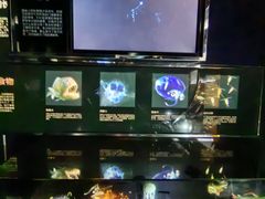 -同济大学四平路校区深海探索馆