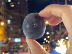 -油麻地果栏