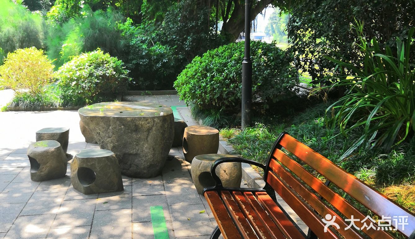 漫步公园