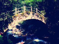 -西岭雪山大飞水景区