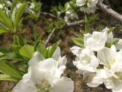 -莲湖公园