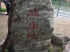 -莲湖公园