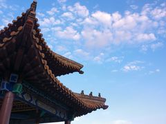 -大青山野生动物园