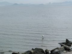 -深圳湾公园(南山区)