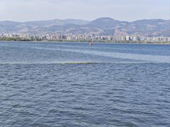 -西昌邛海湿地