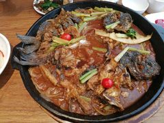 -老板恋上鱼(恒隆广场店)