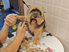 -FAELING PETS美天灵宠物(富力广场店)