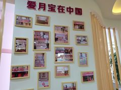 -爱月宝月嫂·育儿嫂(哈尔滨总店)