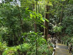 -武吉知马自然保护区