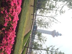 iphone_upload_pic-日照灯塔风景区