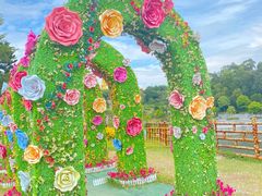 -广州莲花山旅游区