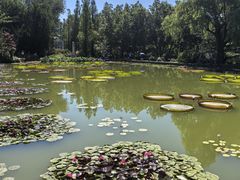 -国家植物园南园