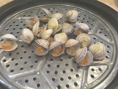 -海大大蒸汽海鲜餐厅·粤菜·特色小炒(欢乐颂店)