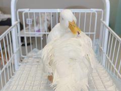 -怪兽屋·羊驼·猫咖·狗咖(俊华广场店)