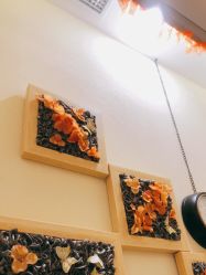 点击看大图 -芳朵美容养生SPA