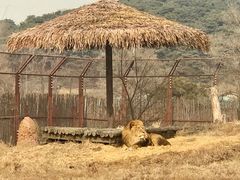 -沈阳森林动物园