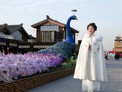 -秦岭风景区