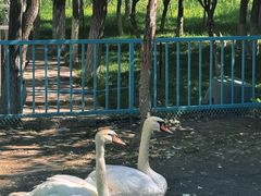 -水上乐园·欢乐世界