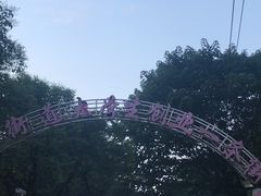 -官亭路小吃一条巷
