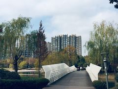 -南翔镇银翔湖公园