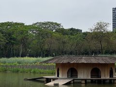 -顺峰山公园
