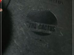 -Cactus墨西哥仙人掌餐厅