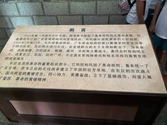 -长洲岛