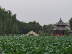 -莲池书院博物馆