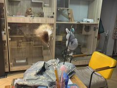 -熊小胖宠物生活馆(天华园店)