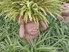 -南和农业嘉年华