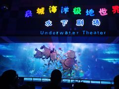 -泉城欧乐堡海洋极地世界
