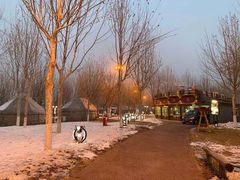 -九十九顶毡房(阜石路店)