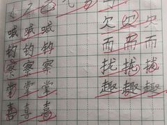 -赵汝飞练字硬笔书法(静安大融城校区)