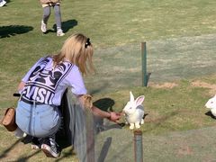 -南京金牛湖风景区