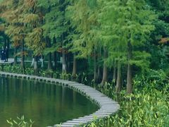 -重庆彩云湖湿地公园