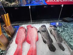 -南海渔村(珠江新城店)