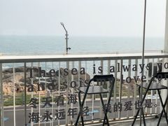 -致璞ZHIPU Rolling on(青岛极地店)